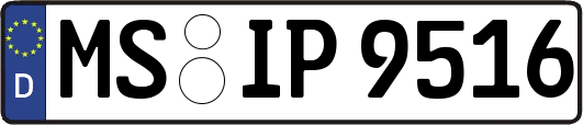 MS-IP9516