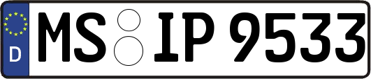 MS-IP9533