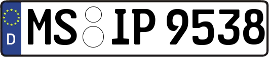 MS-IP9538