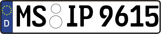 MS-IP9615