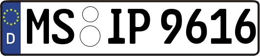 MS-IP9616