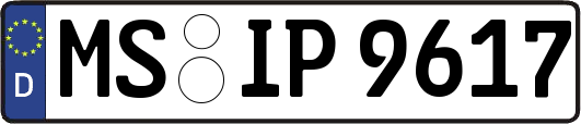 MS-IP9617