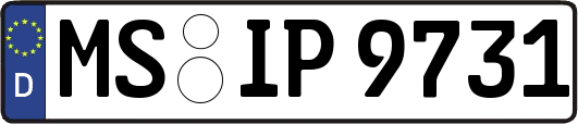 MS-IP9731