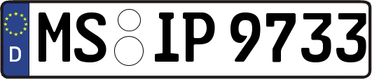MS-IP9733