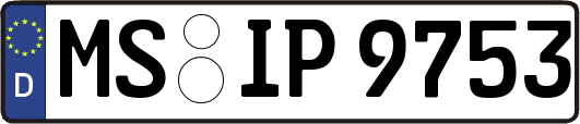 MS-IP9753