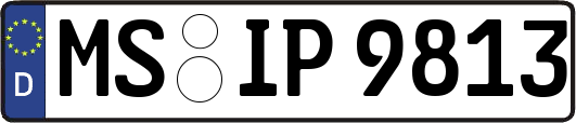 MS-IP9813