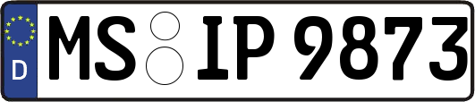 MS-IP9873