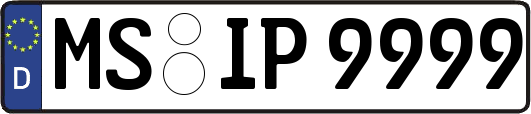 MS-IP9999