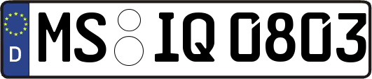 MS-IQ0803