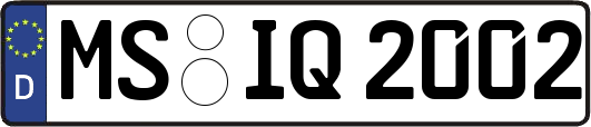 MS-IQ2002
