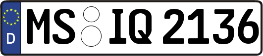 MS-IQ2136