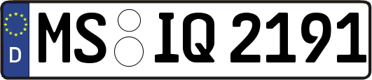 MS-IQ2191