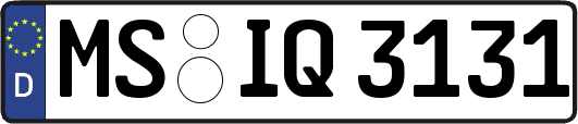 MS-IQ3131