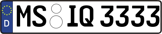 MS-IQ3333