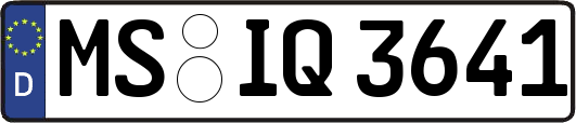 MS-IQ3641