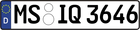 MS-IQ3646