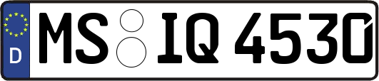 MS-IQ4530