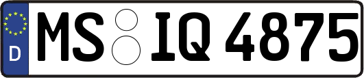 MS-IQ4875