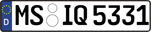 MS-IQ5331
