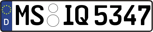 MS-IQ5347
