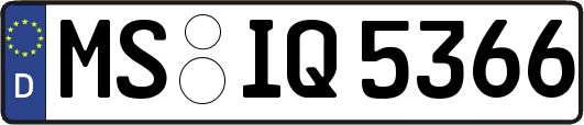 MS-IQ5366