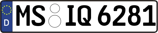 MS-IQ6281