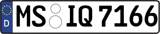MS-IQ7166