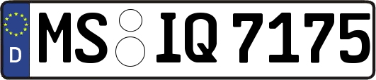 MS-IQ7175