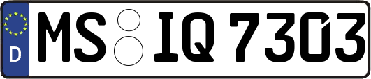 MS-IQ7303