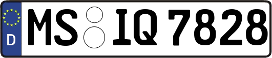 MS-IQ7828