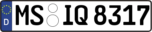 MS-IQ8317