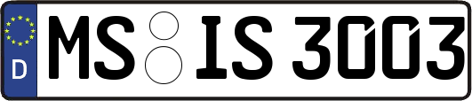 MS-IS3003