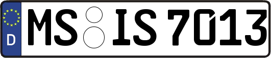 MS-IS7013