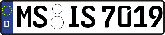 MS-IS7019