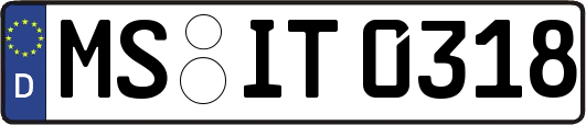 MS-IT0318