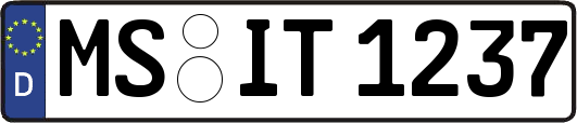 MS-IT1237