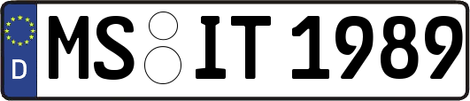 MS-IT1989