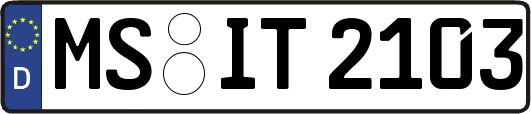 MS-IT2103