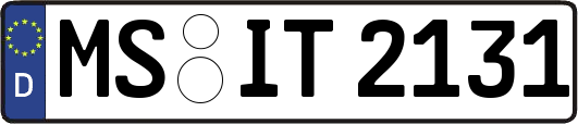 MS-IT2131