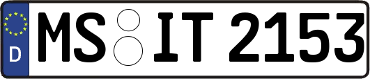 MS-IT2153