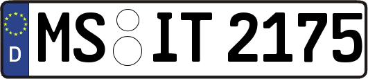 MS-IT2175
