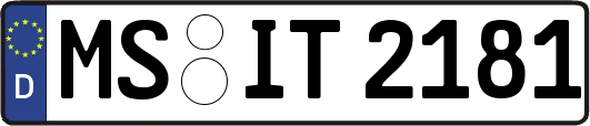 MS-IT2181