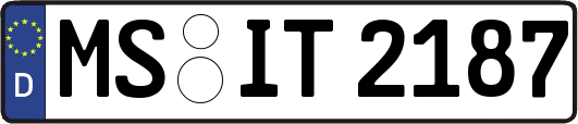 MS-IT2187