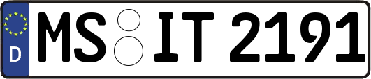 MS-IT2191