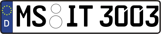 MS-IT3003
