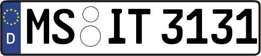 MS-IT3131
