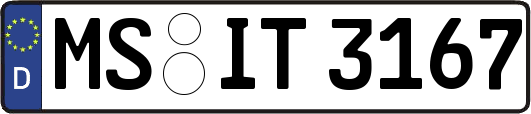 MS-IT3167