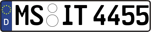 MS-IT4455