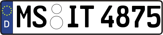 MS-IT4875
