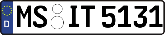 MS-IT5131